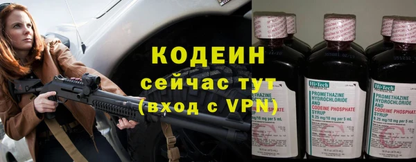 прущие грибы Ладушкин