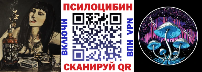 Галлюциногенные грибы Psilocybine cubensis  Калачинск 